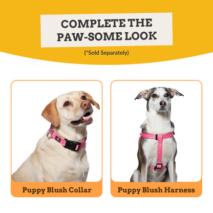 Puppy Blush Flat Dog Leash