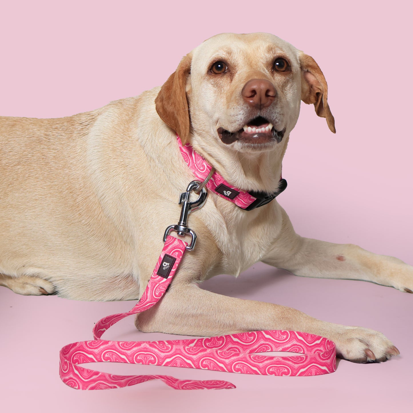 Puppy Blush Flat Dog Leash