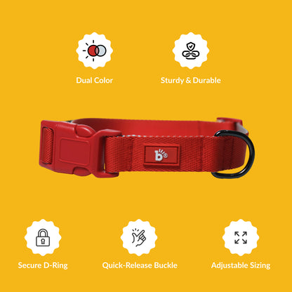 Red Nova Dog Collar