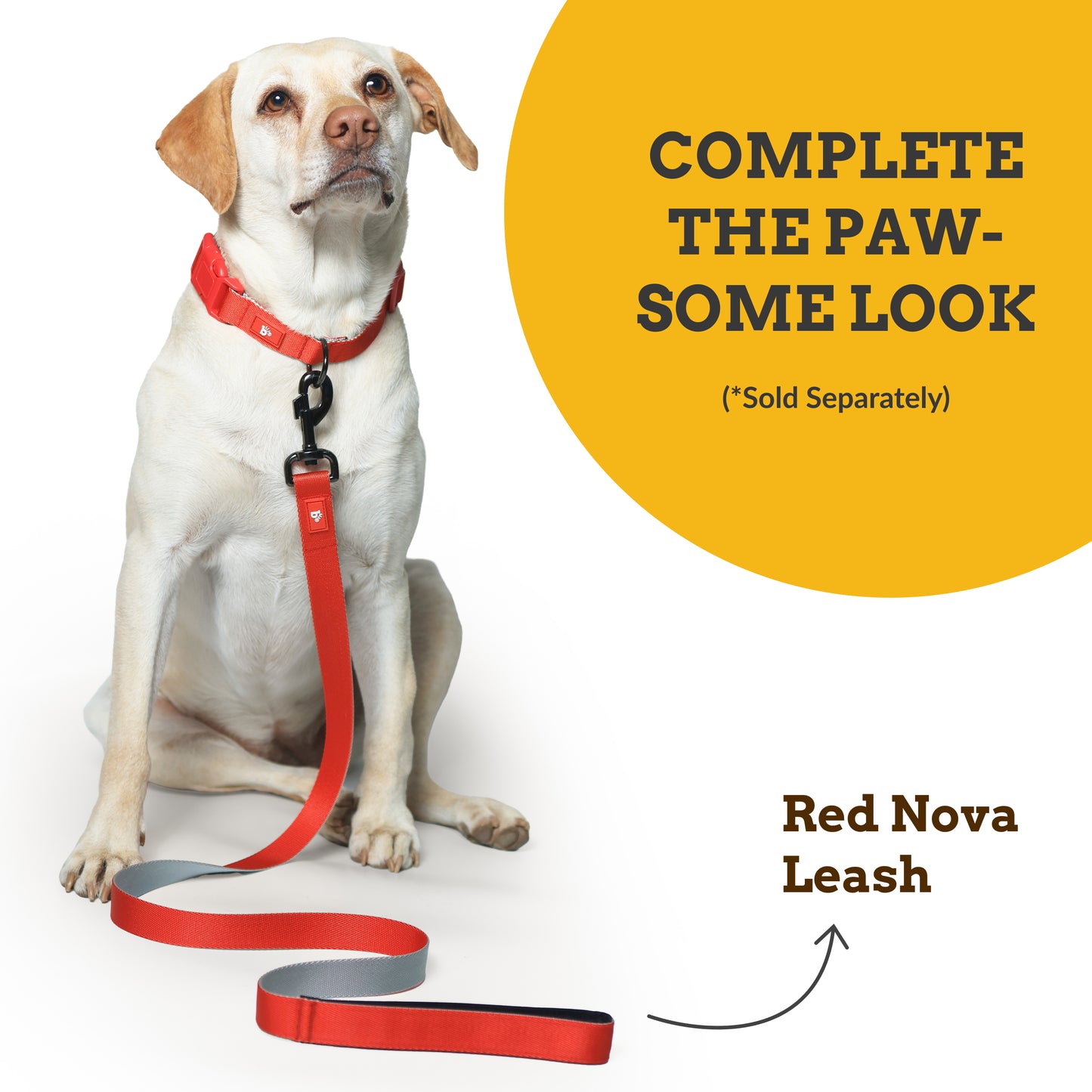 Red Nova Dog Collar