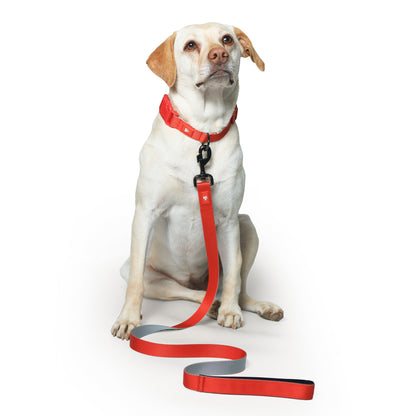 Red Nova Dog Leash