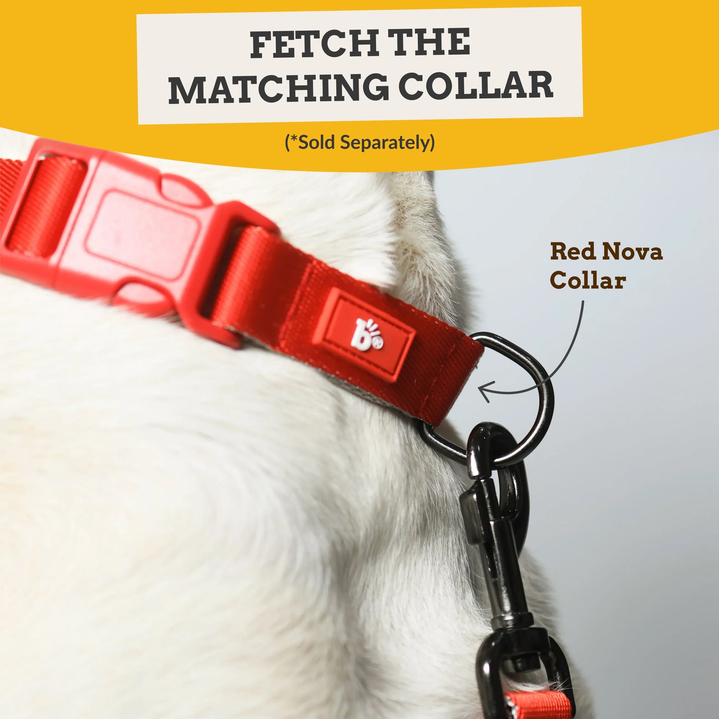 Red Nova Dog Leash