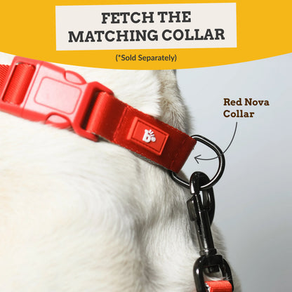 Red Nova Dog Leash