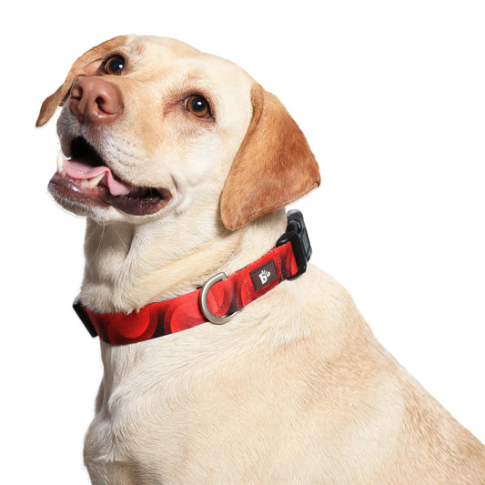 Red Rover Dog Collar