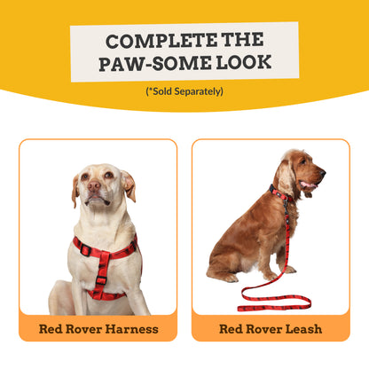 Red Rover Dog Collar