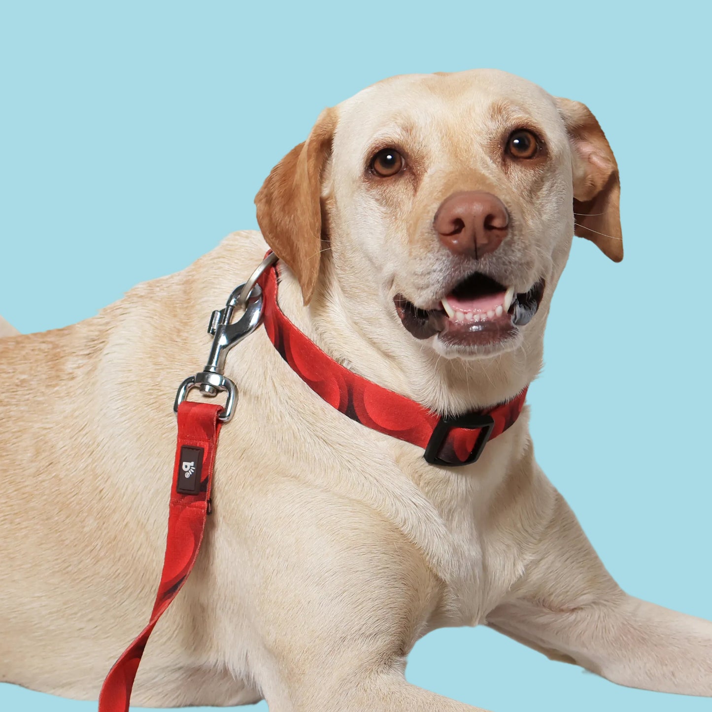 Red Rover Dog Collar