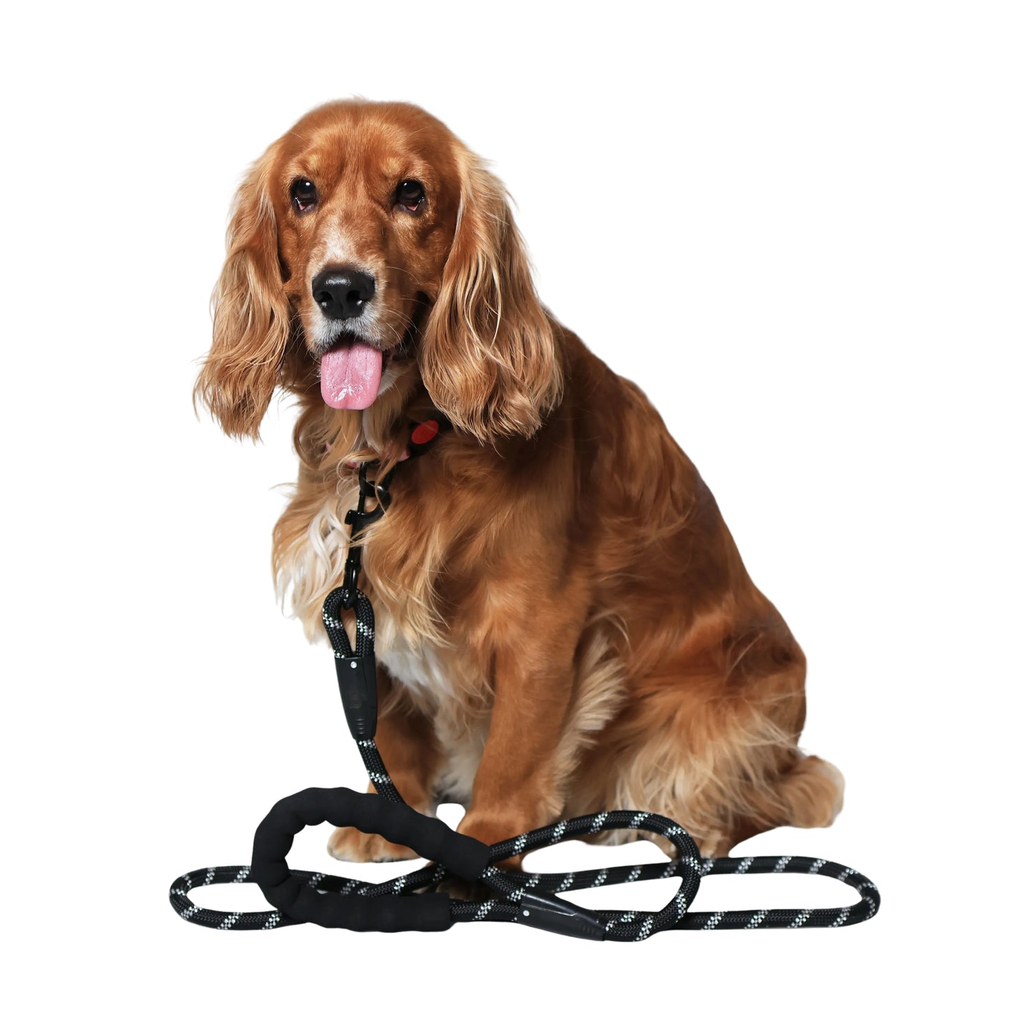 Urban Trek Reflective Rope Leash