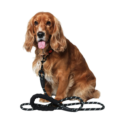 Urban Trek Reflective Rope Leash