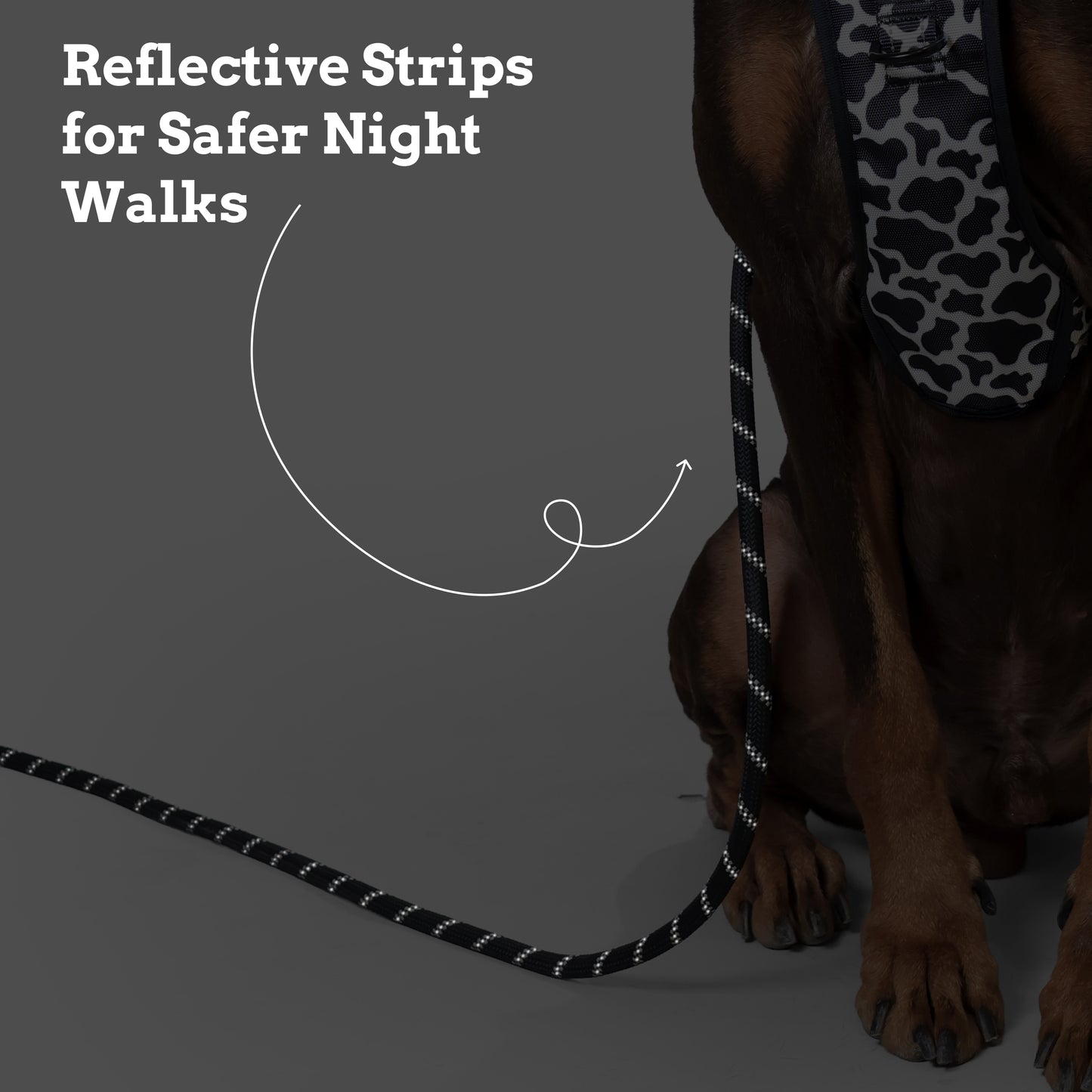 Urban Trek Reflective Rope Leash