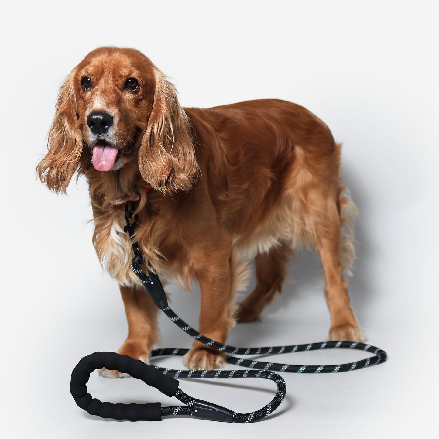 Urban Trek Reflective Rope Leash