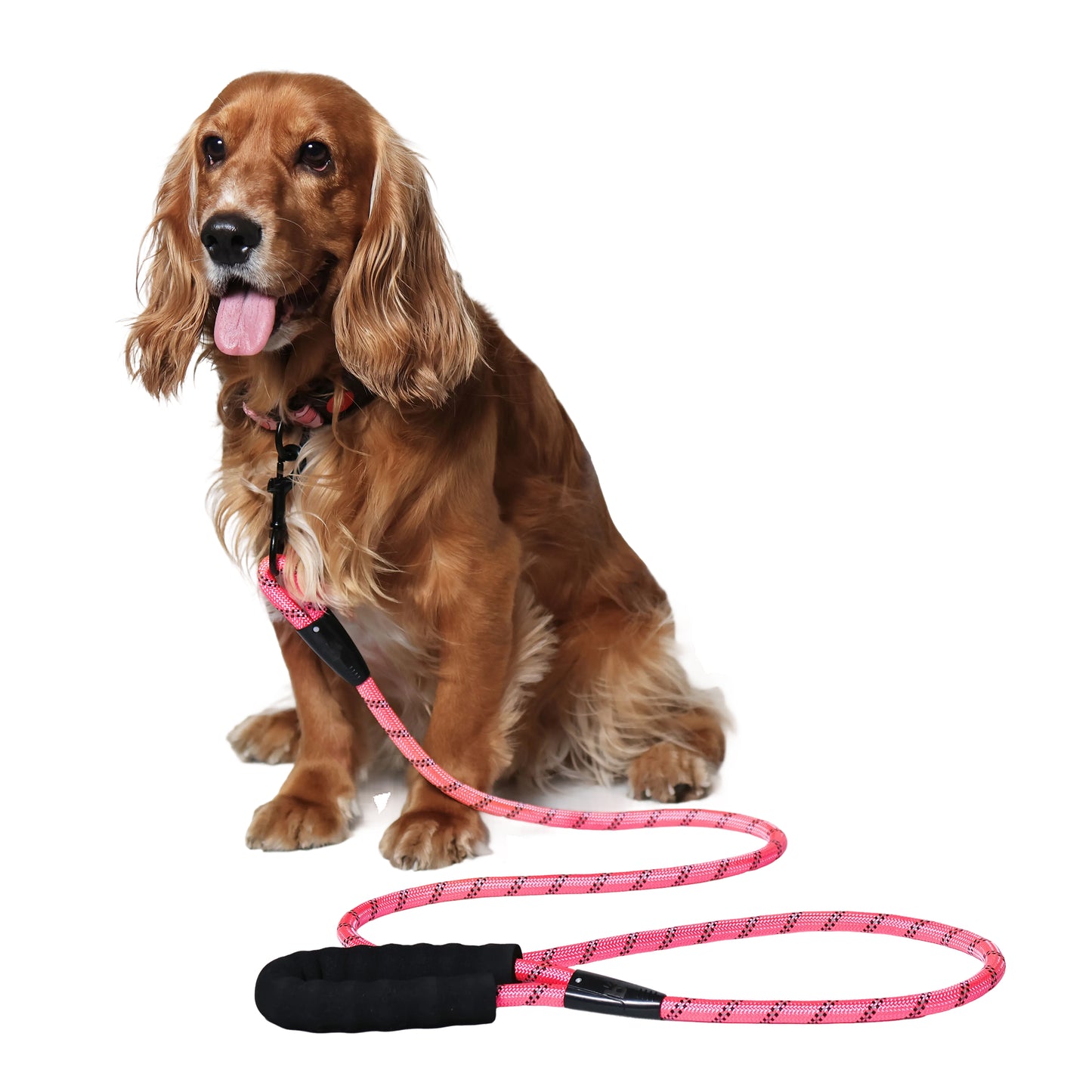 Urban Trek Reflective Rope Leash