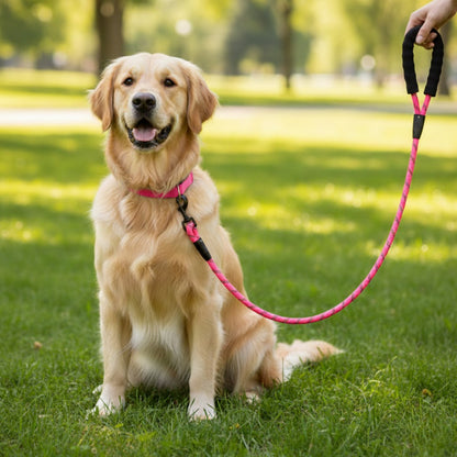 Urban Trek Reflective Rope Leash