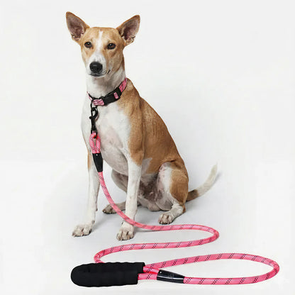 Urban Trek Reflective Rope Leash