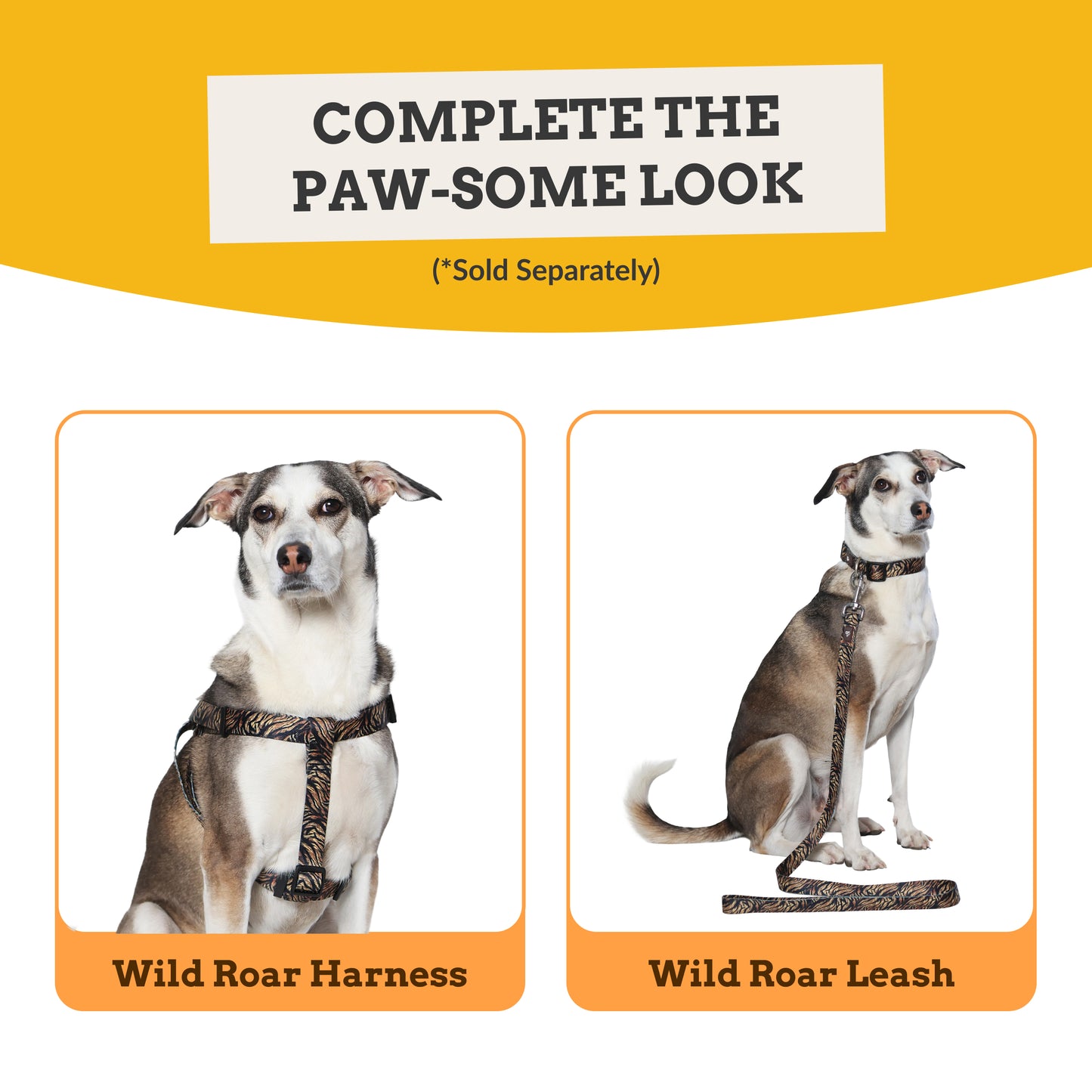 Wild Roar Dog Collar