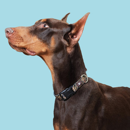 Wild Roar Dog Collar