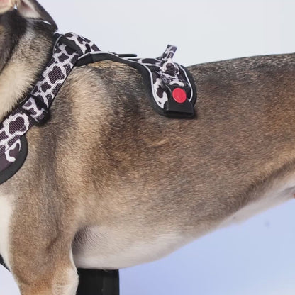 Moo-ve Over Reflective Dog Harness