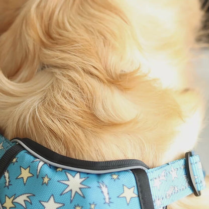 Nebula Nights Reflective Dog Harness
